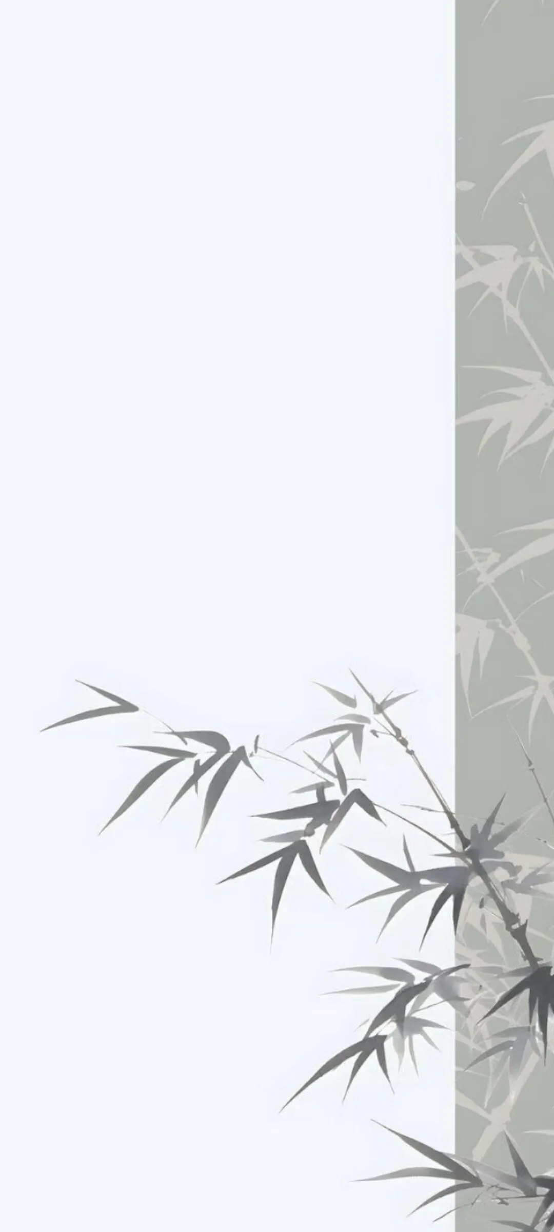 Screenshot_20250226_093853.webp