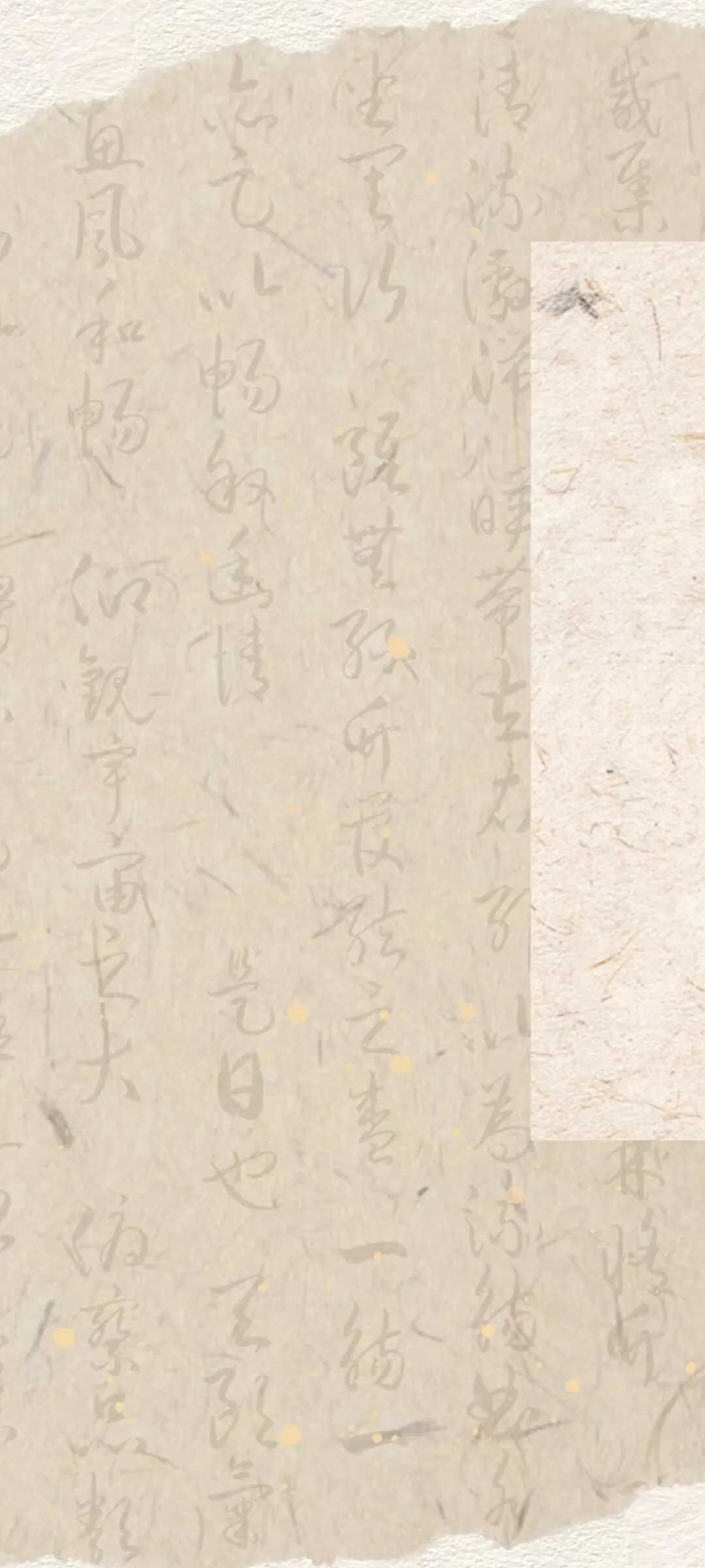 Screenshot_20250226_093930.webp