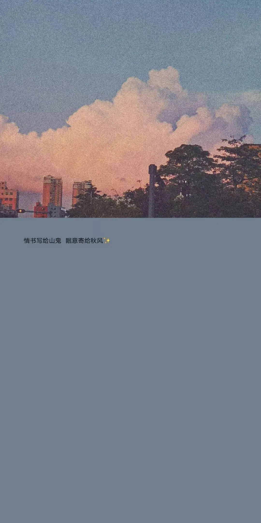 元气壁纸_1735210463548.webp