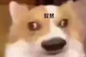 2461695689.jpeg
