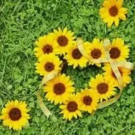 1000023771.webp