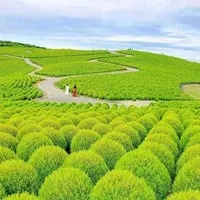 1000023774.webp