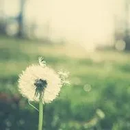 1000023783.webp