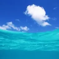 1000023781.webp
