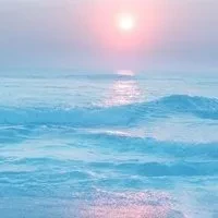 1000023777.webp