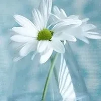 1000023785.webp