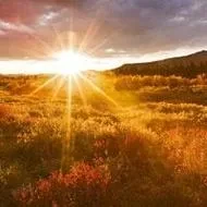 1000023791.webp