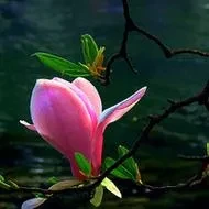 1000023784.webp