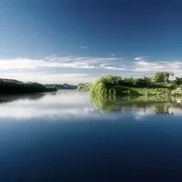 1000023811.webp