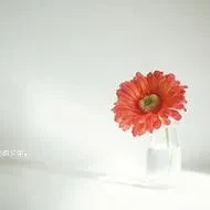 1000023805.webp