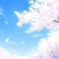 1000023802.webp