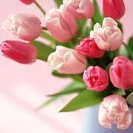 1000023815.webp