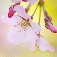 1000023825.webp