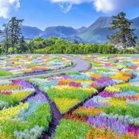 1000023837.webp