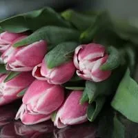 1000023828.webp