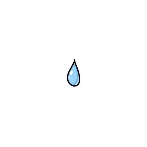 1000027677.webp