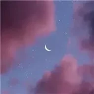 1000027669.webp