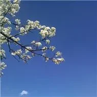 1000027685.webp
