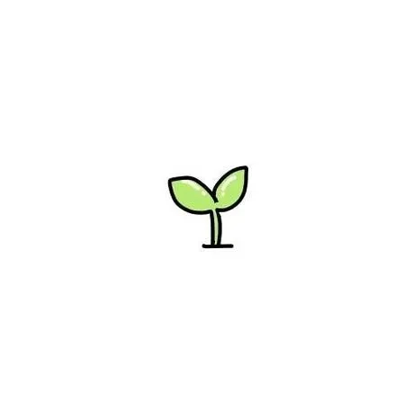 1000027687.webp